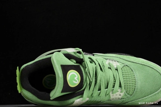 Jordan AJ4-904284  4 Green Oregon Air  Duck AJ4-904284 PE 0313